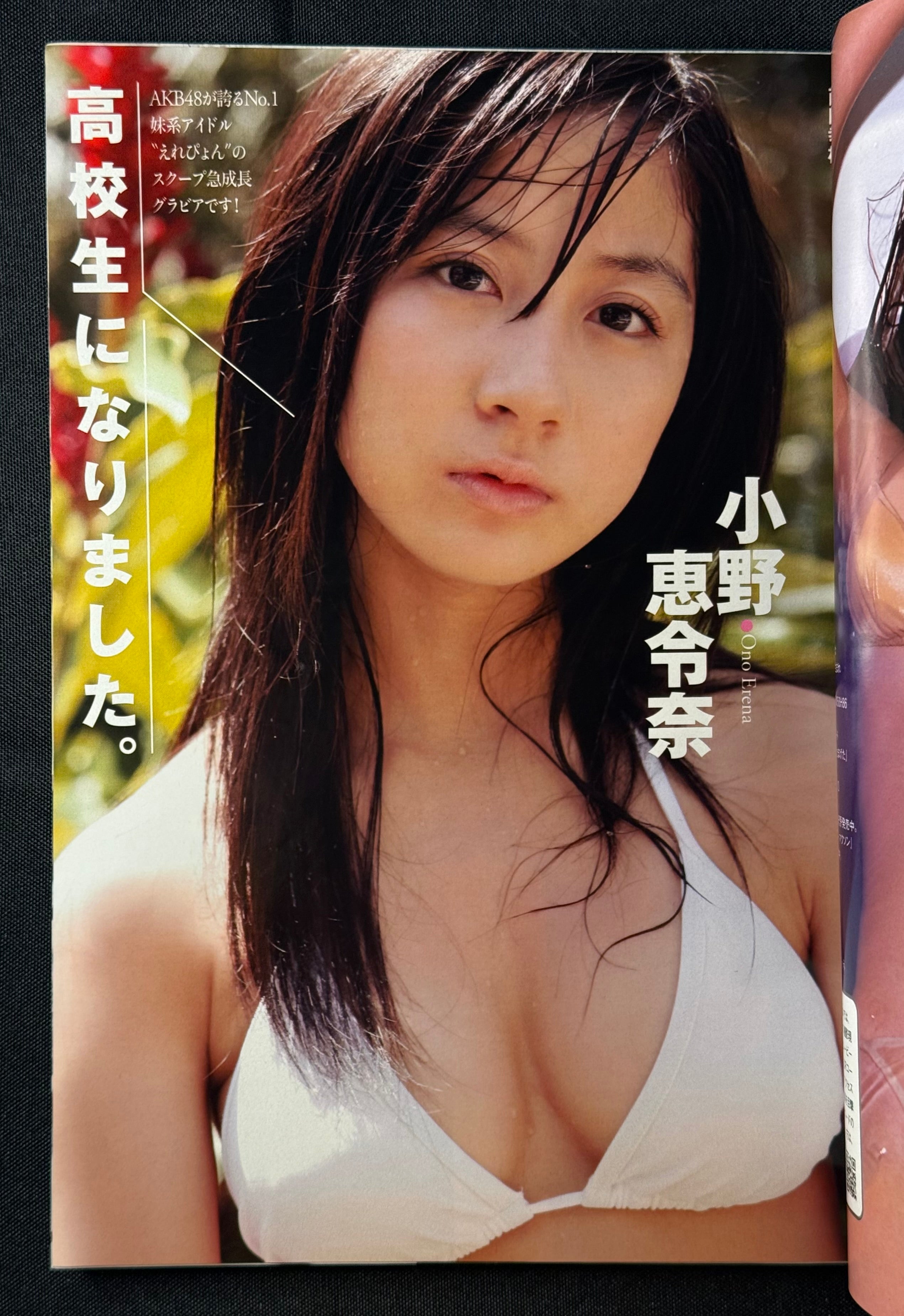 Weekly Playboy 2009 No.17 Japanese Magazine - Aki Hoshino Cover