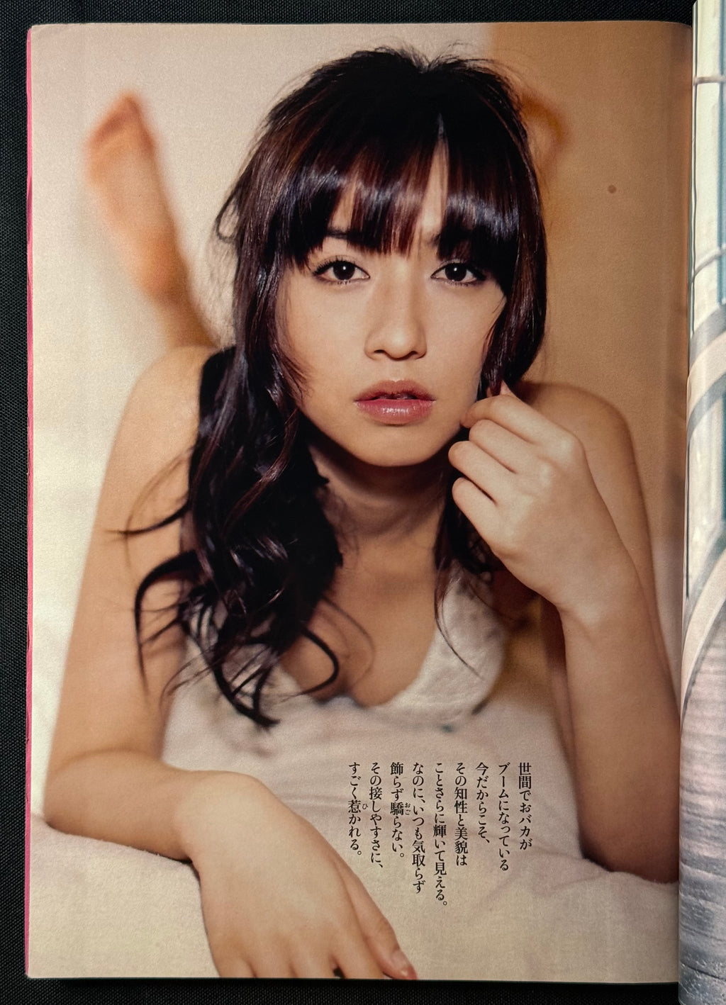 Weekly Playboy 2008 No.21 Japanese Gravure Manga Magazine w/Poster