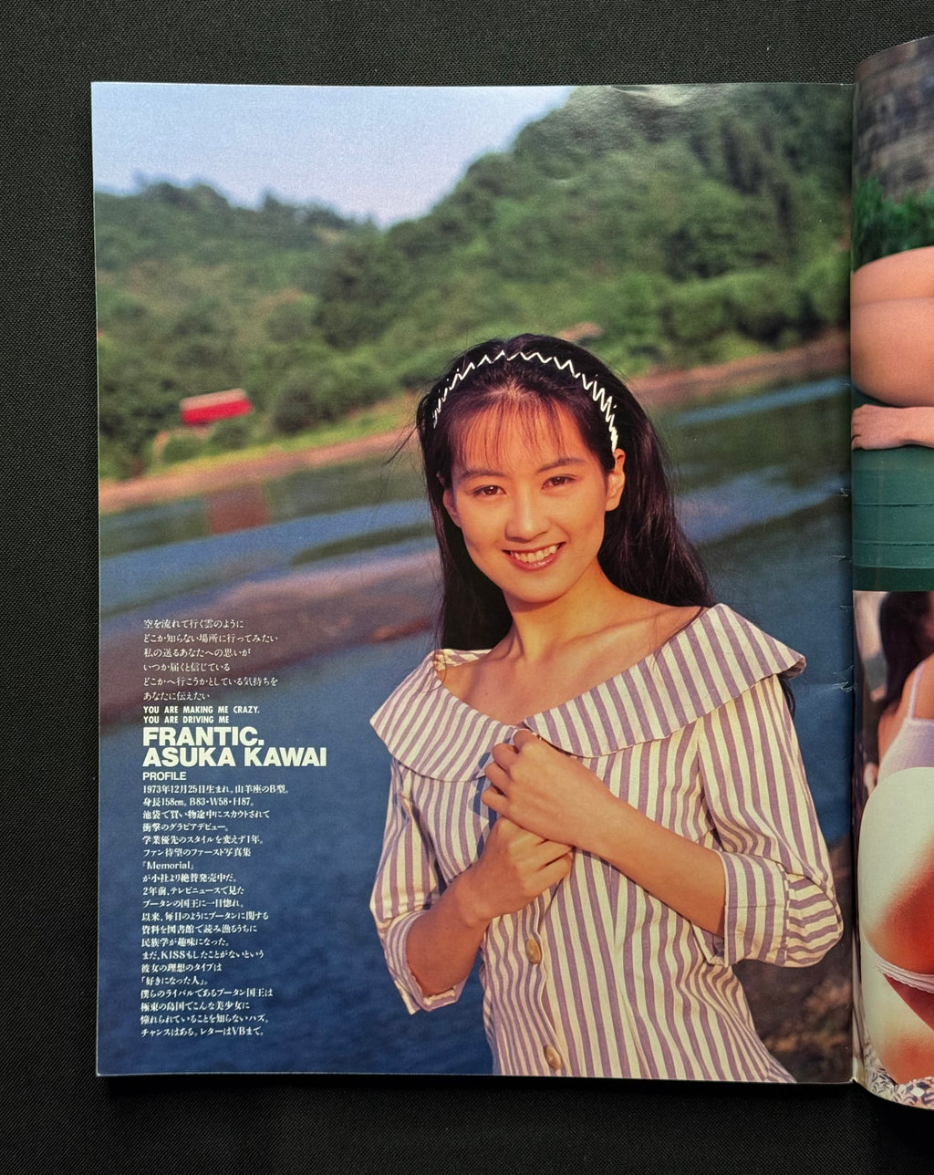 Video Boy No. 112 (August 1993) Japanese Idol Gravure Magazine