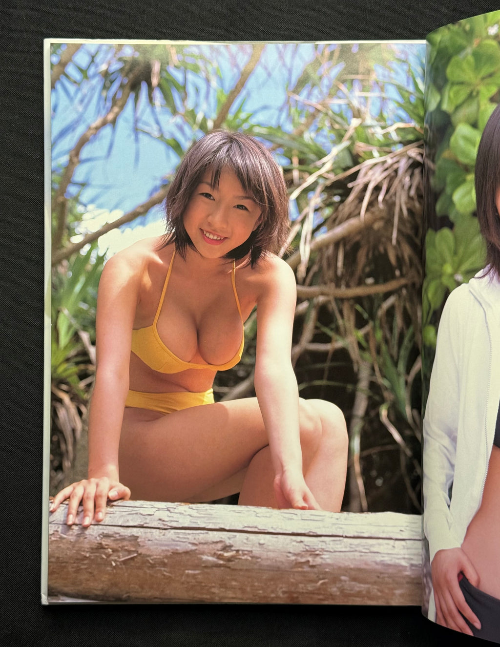 Wakana Sakai “Yokan” Hardcover Gravure Photobook (1999) w/Poster - Japan Import