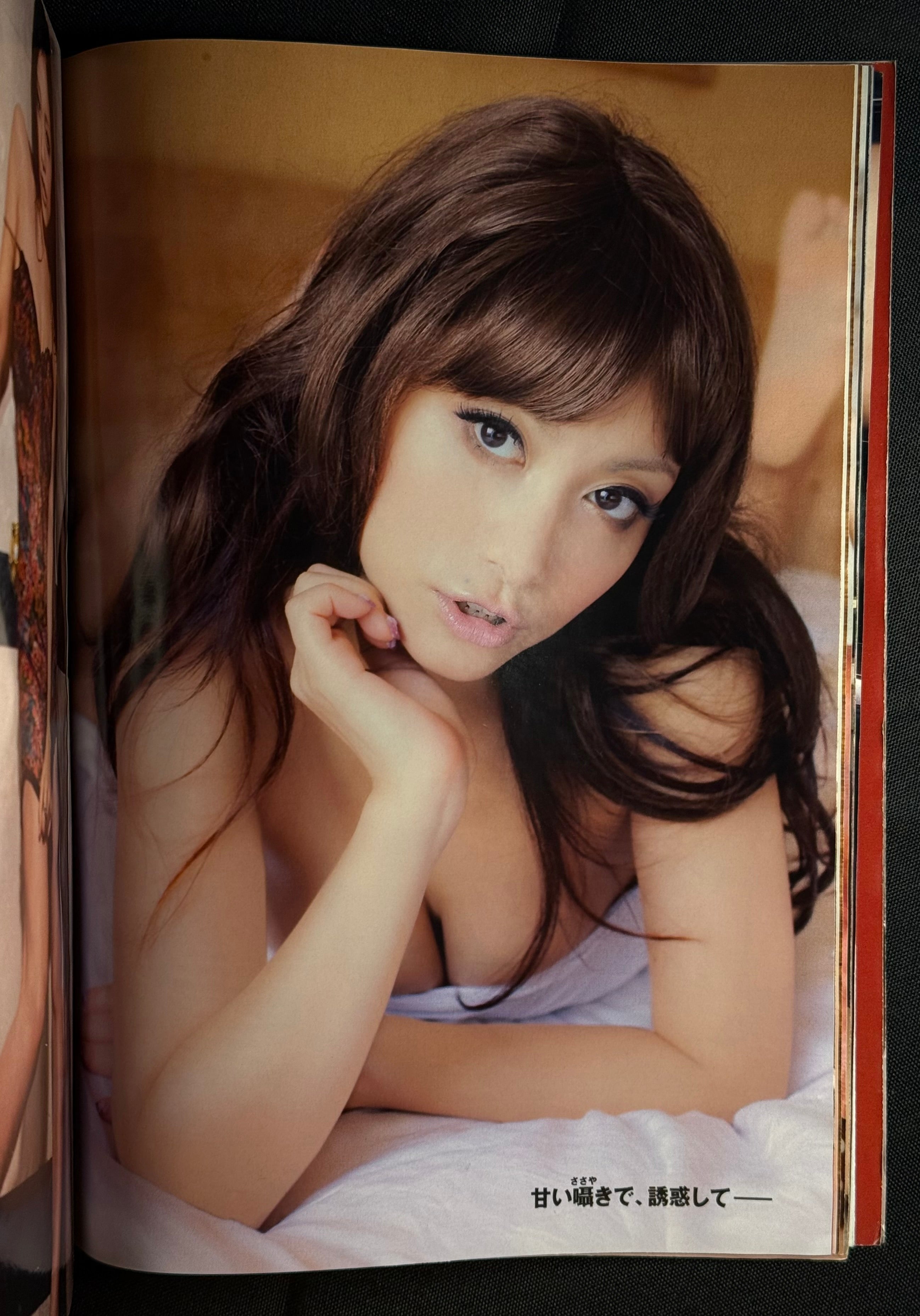 Weekly Playboy 2009 No.45 Japanese Magazine - Aki Hoshino Cover