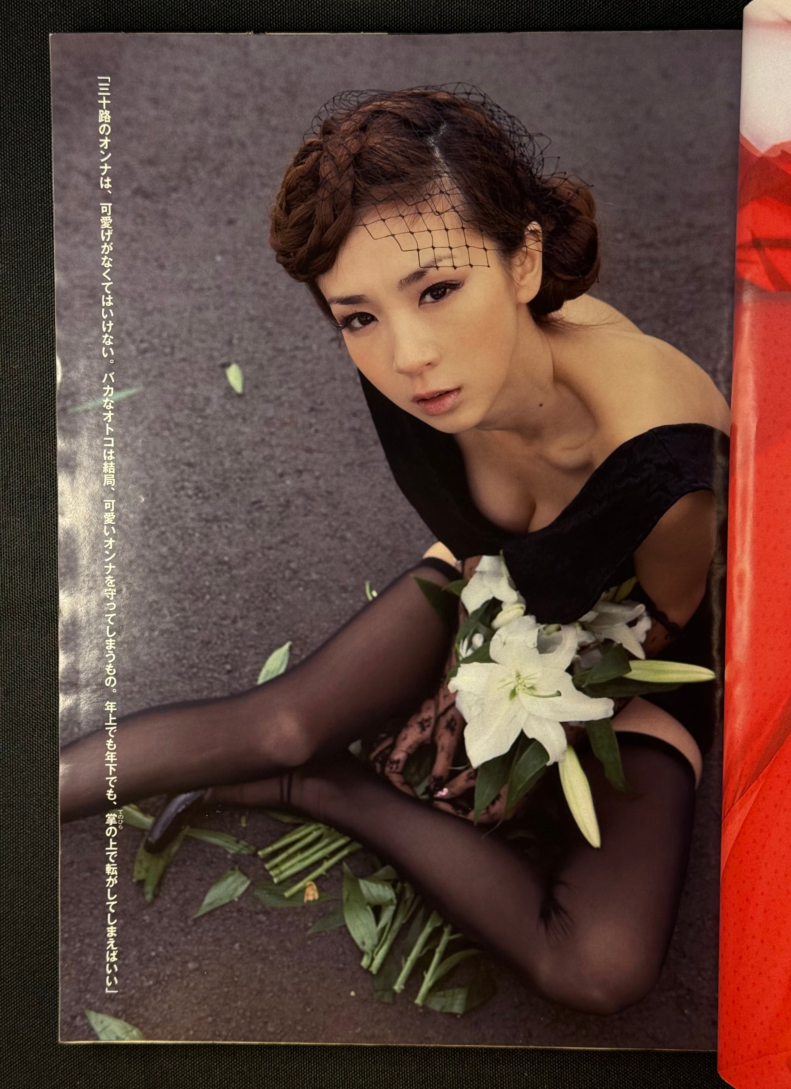 Weekly Playboy 2009 No.45 Japanese Magazine - Aki Hoshino Cover