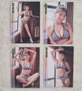Aya Hazuki HITS 4 Card Set – Leopard Print Photo Trading Cards - Japanese Gravure