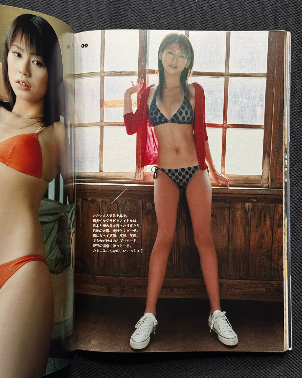 Weekly Playboy No. 13 (March 29, 2005) Japanese Magazine - Mayumi Ono Cover