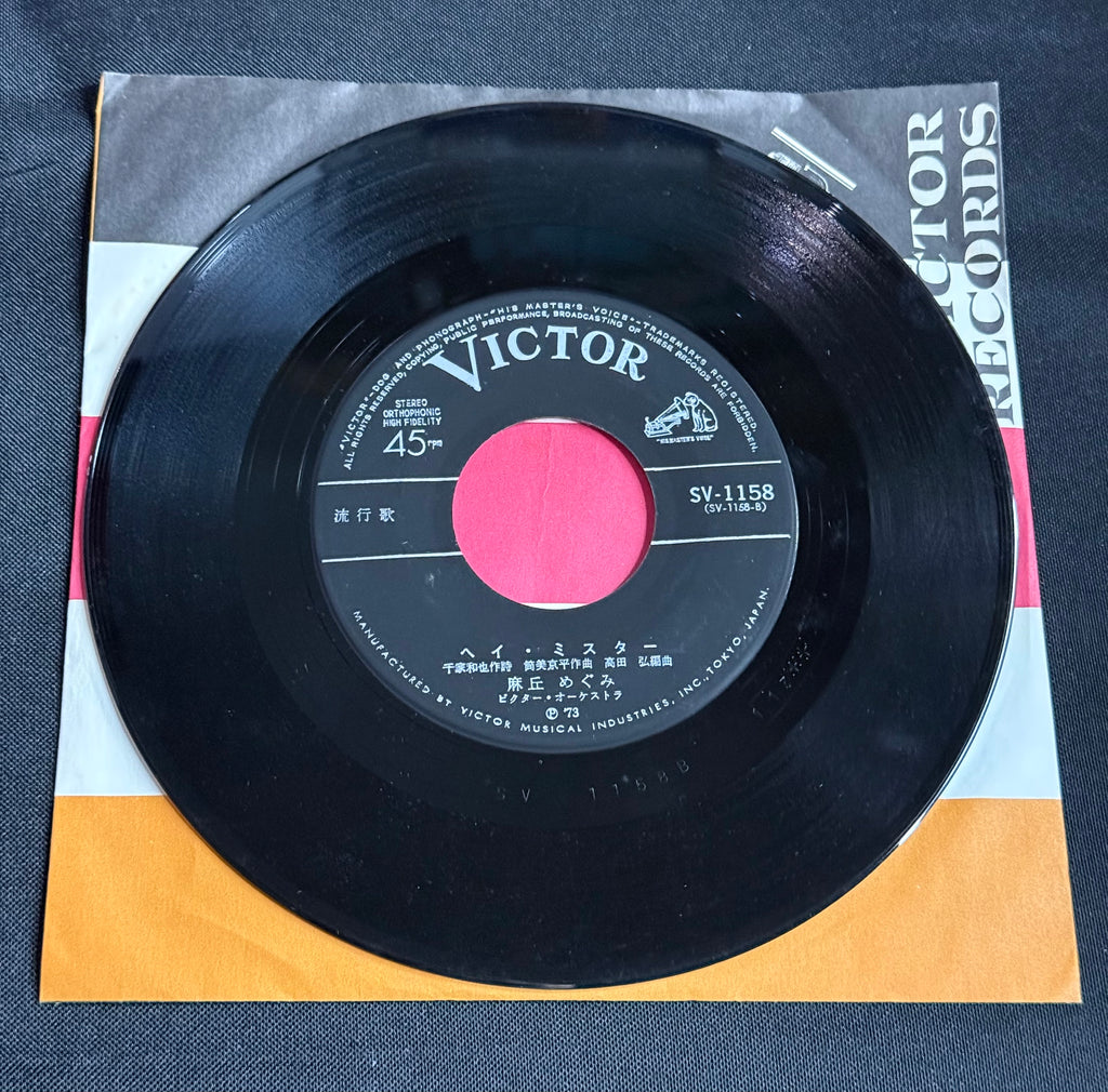 Megumi Asaoka – “Girl of the Alps” (アルプスの少女) 7" Vinyl Record (1973 Japan)