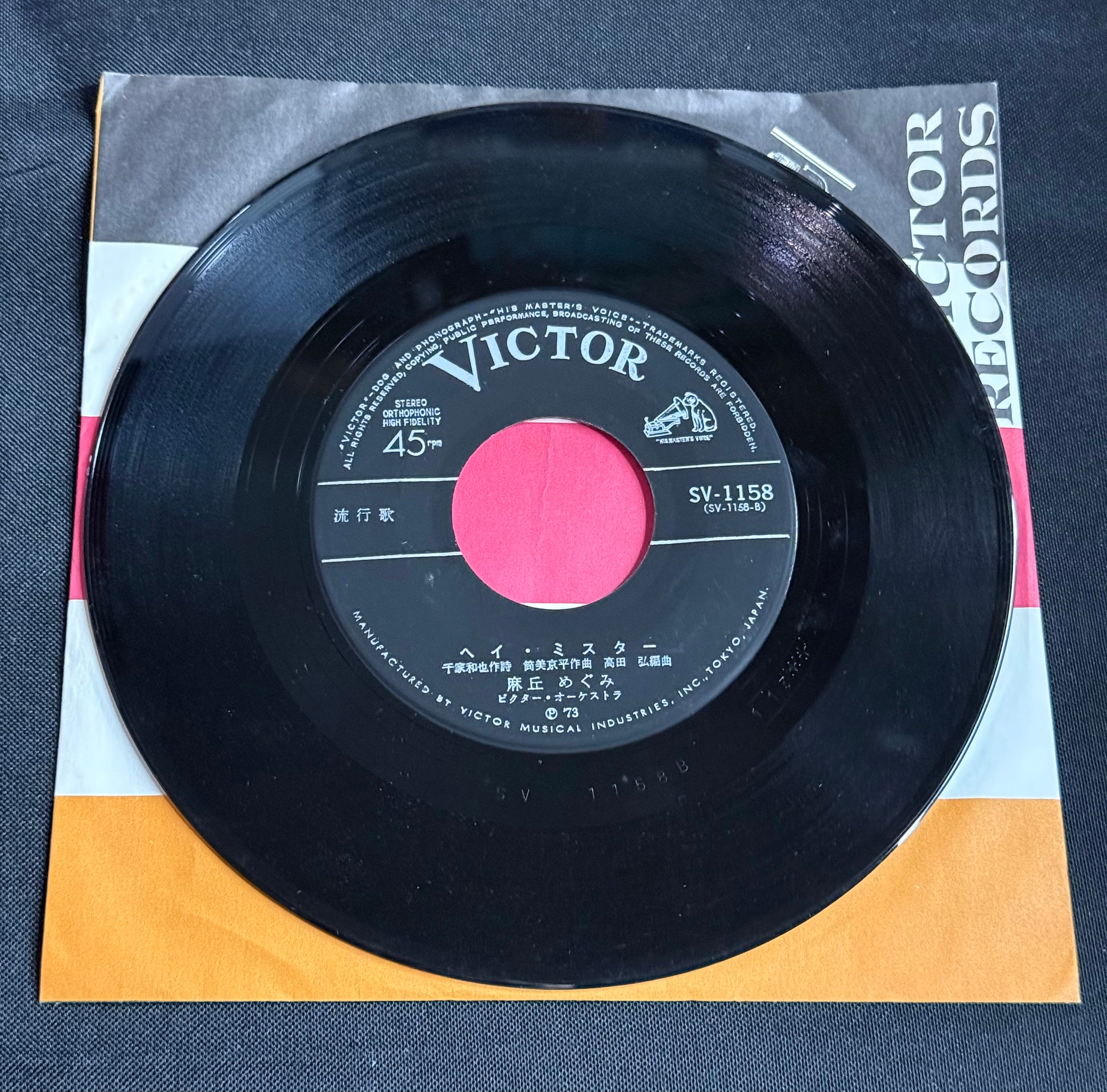 Megumi Asaoka – “Girl of the Alps” (アルプスの少女) 7" Vinyl Record (1973 Japan)