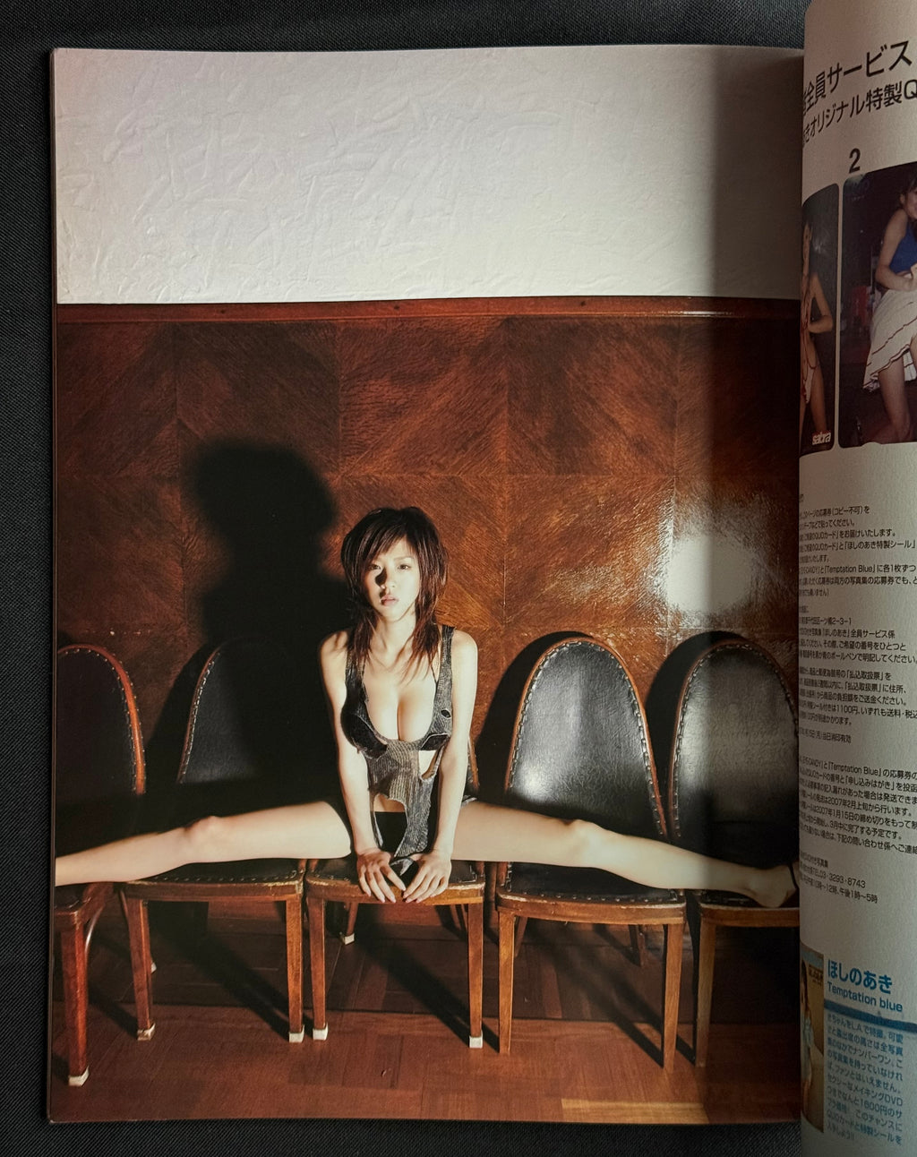 Sabra Eye Candy: Aki Hoshino Special Photobook Magazine (2006) – No DVD