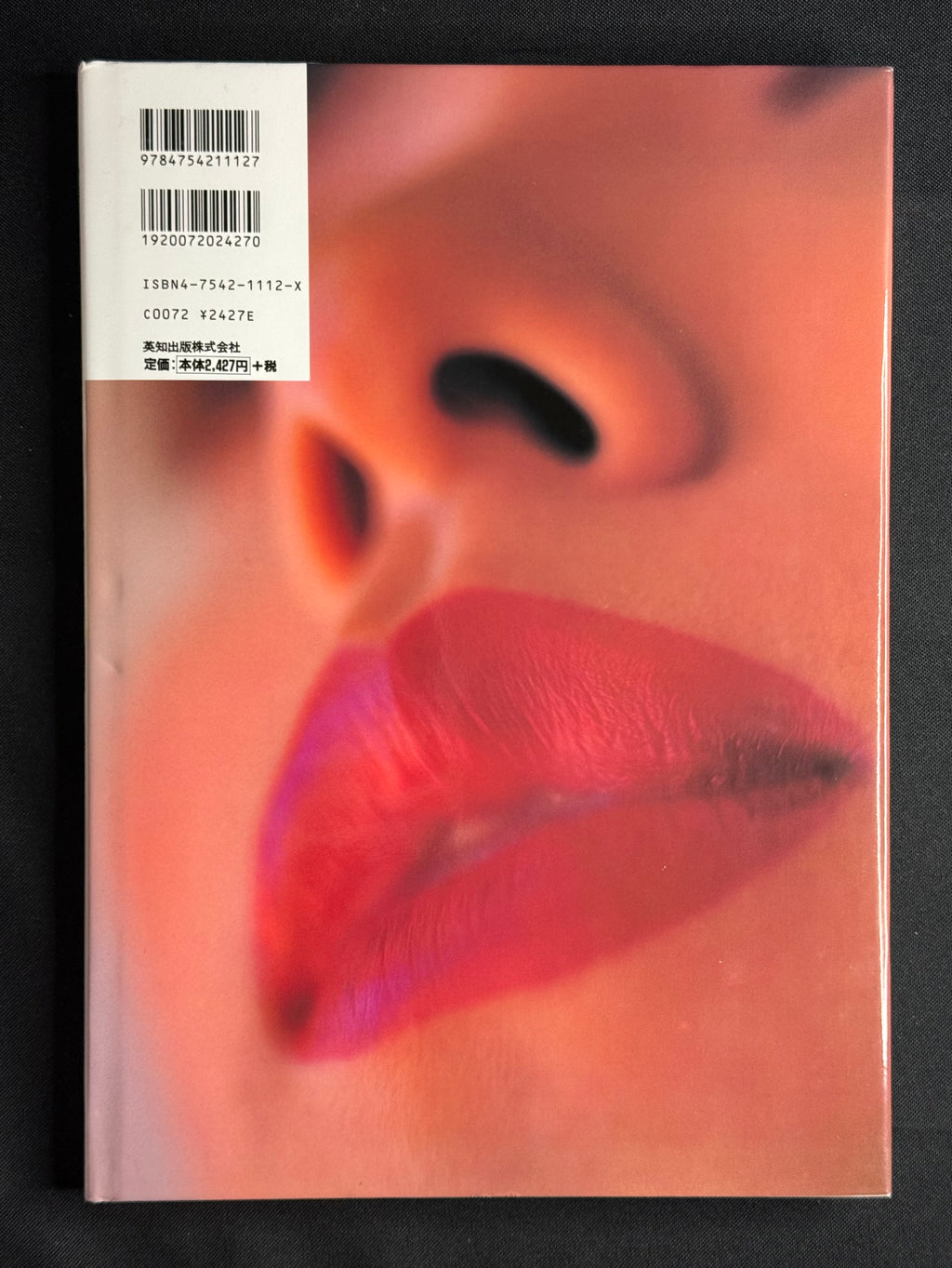Manami Honjo “Smoochy” Hardcover Gravure Photobook (1995) Japan Import