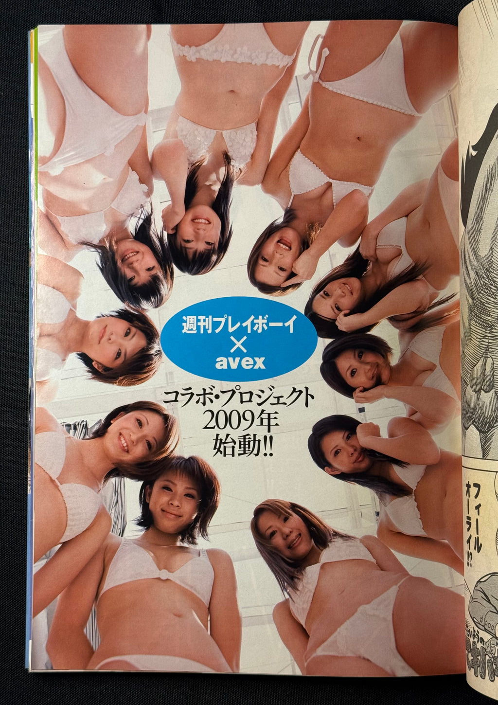 Weekly Playboy 2009 No.17 Japanese Magazine - Aki Hoshino Cover