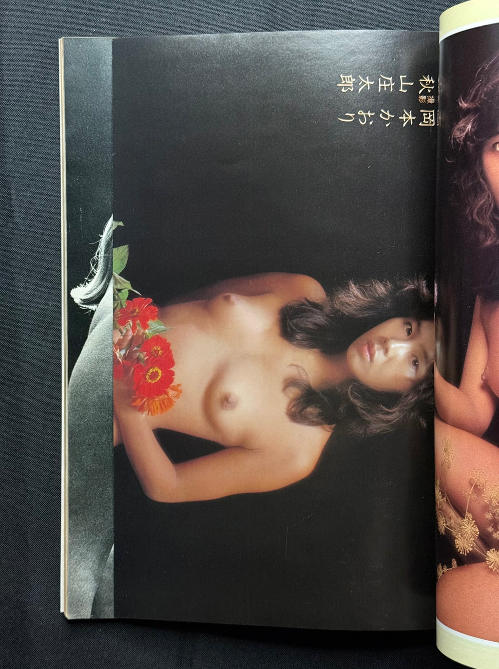 Heibon Punch Special – November 1982 (Yu Hayami Cover) Japanese Magazine w/Posters