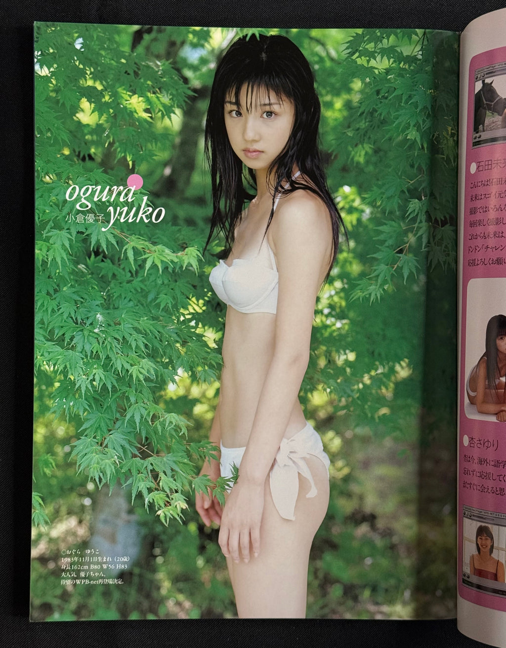 Weekly Playboy Special Edition: SWEET IDOL OF THE YEAR 2002–2003