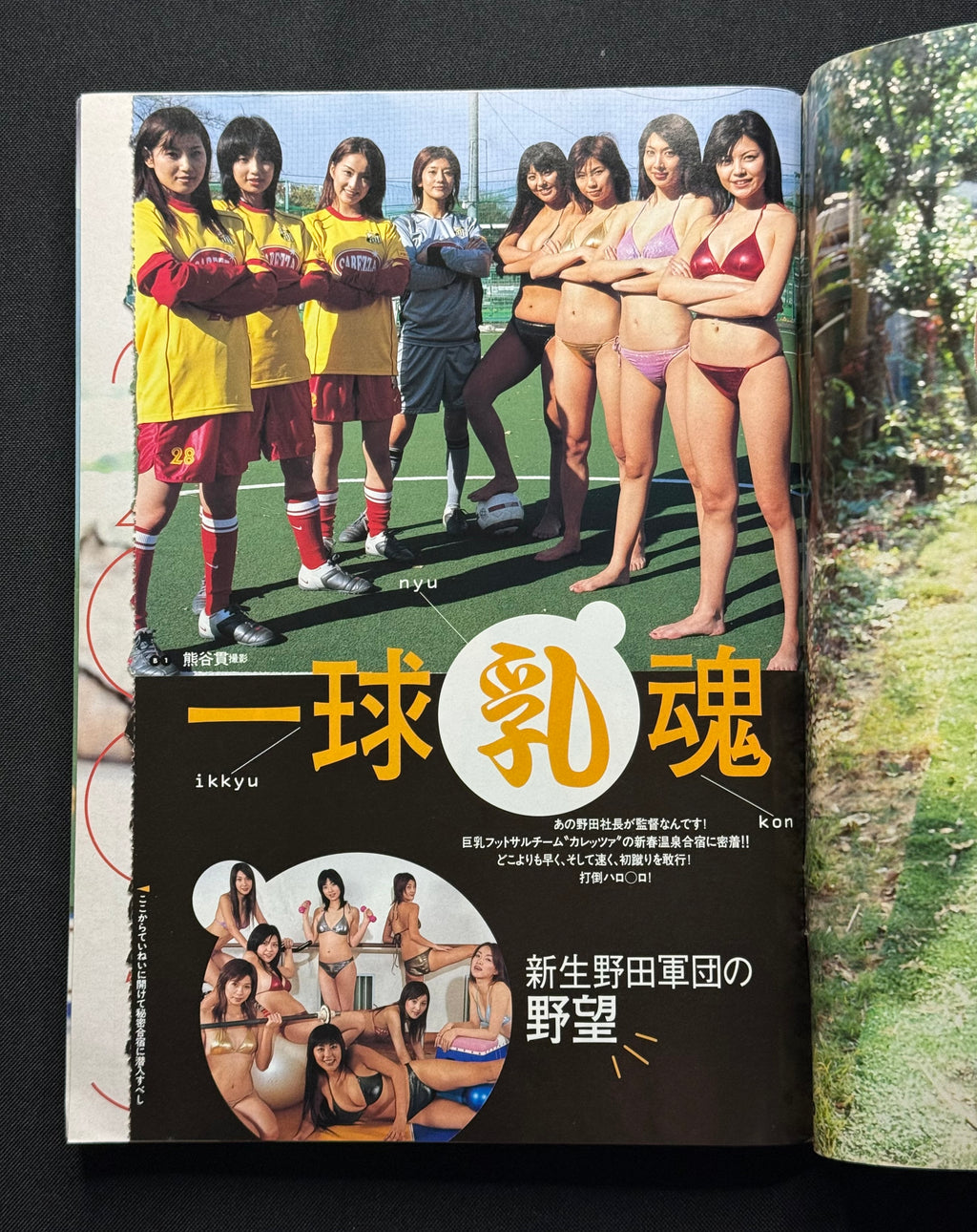 Weekly Playboy No. 3/4 (January 18–25, 2005) Japanese Magazine - Misako Yasuda Cover