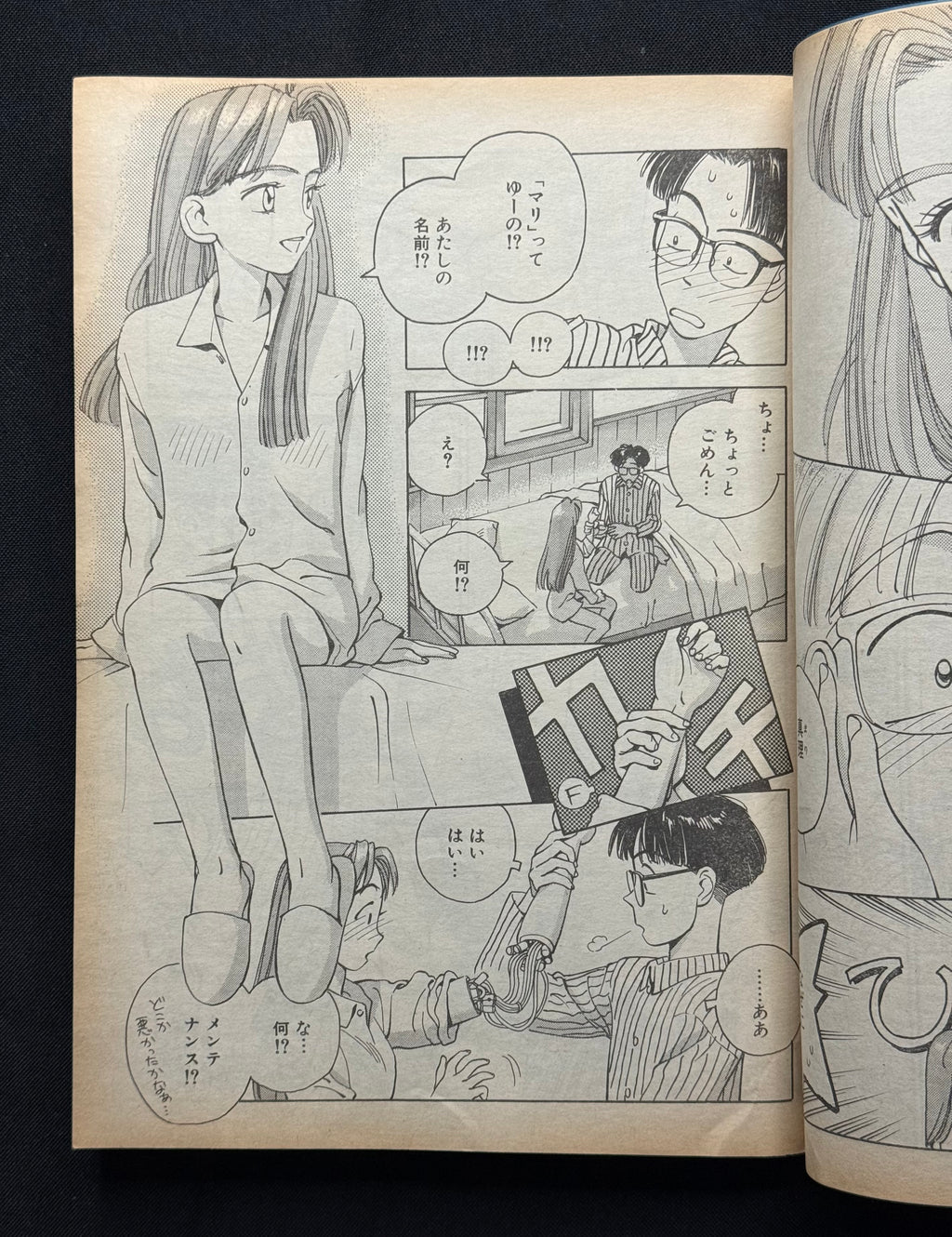 Weekly Young Jump No. 5/6 (January 27, 1994) Japanese Manga – Yuki Uchida Cover