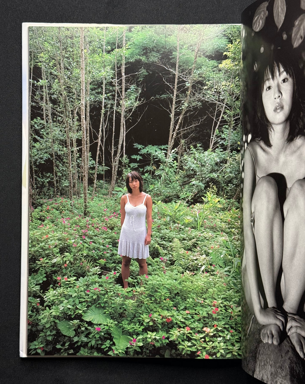 Wakana Sakai “Yokan” Hardcover Gravure Photobook (1999) w/Poster - Japan Import