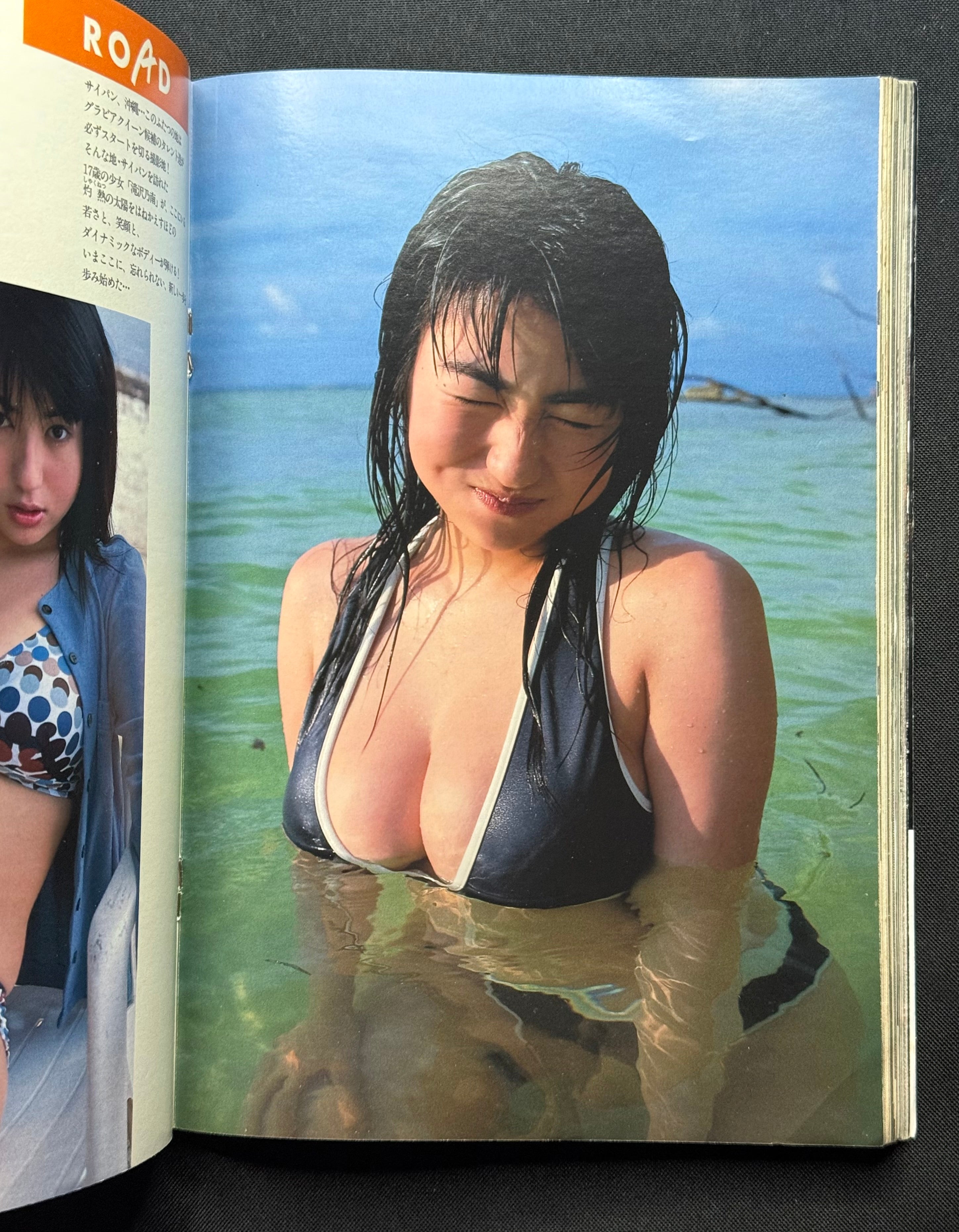 Weekly Playboy No. 29 – Sayuri Anzu Cover (July 15 2003) Japanese Magazine