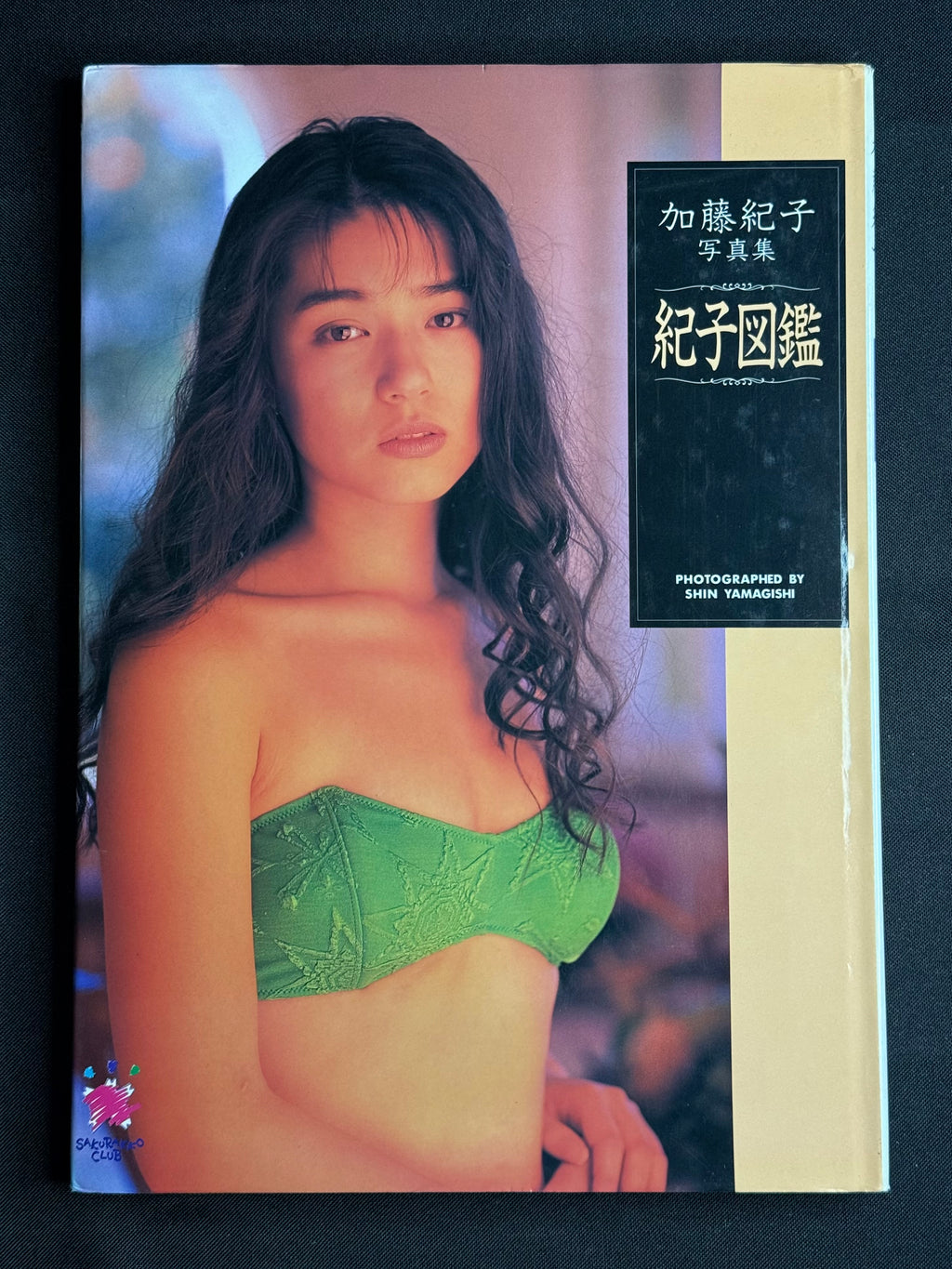 Noriko Kato “Noriko Picture Book” Hardcover Gravure Photobook (1993) Japan Import