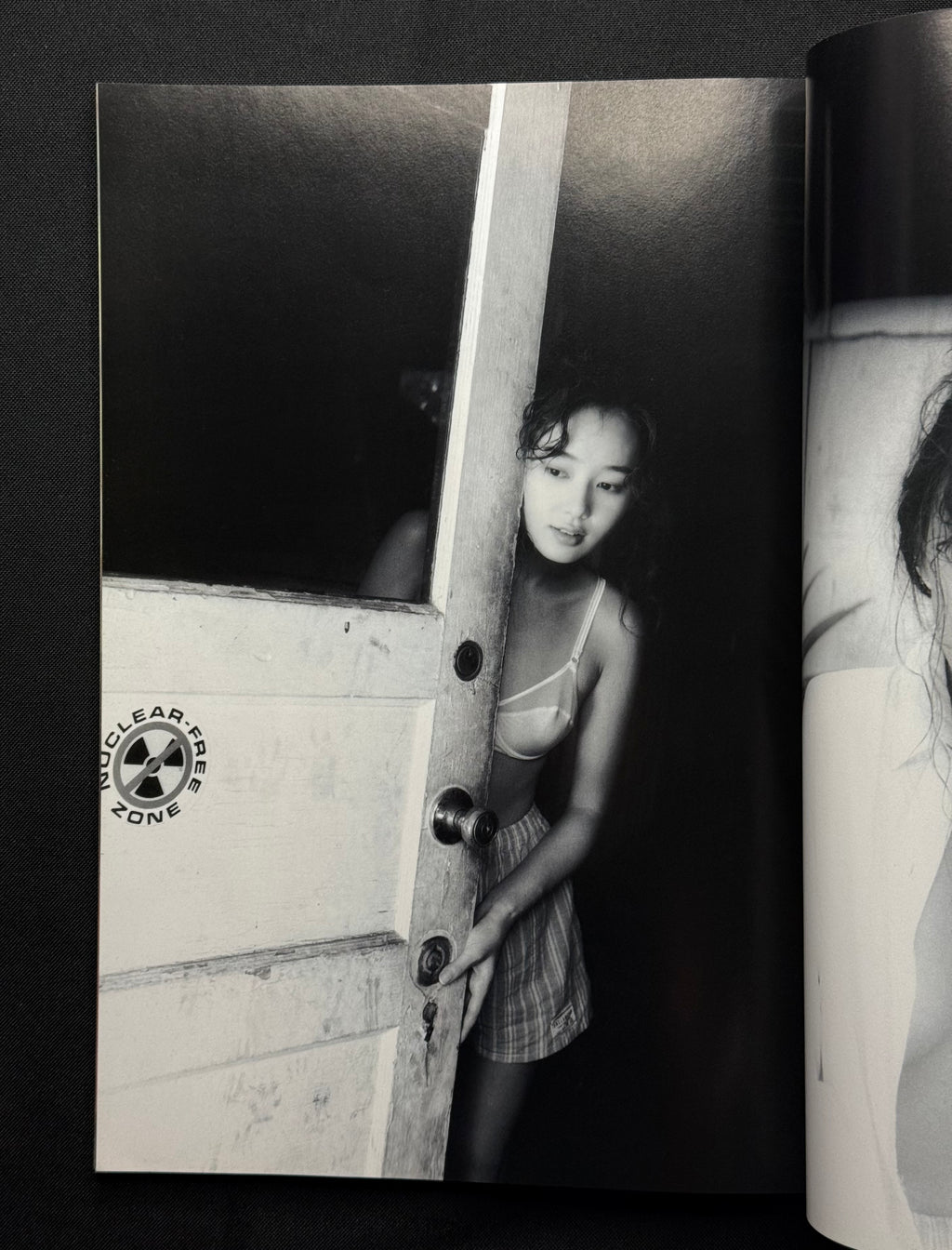 Schola Annex Special Issue – Japanese Idol Gravure Photobook (1993)