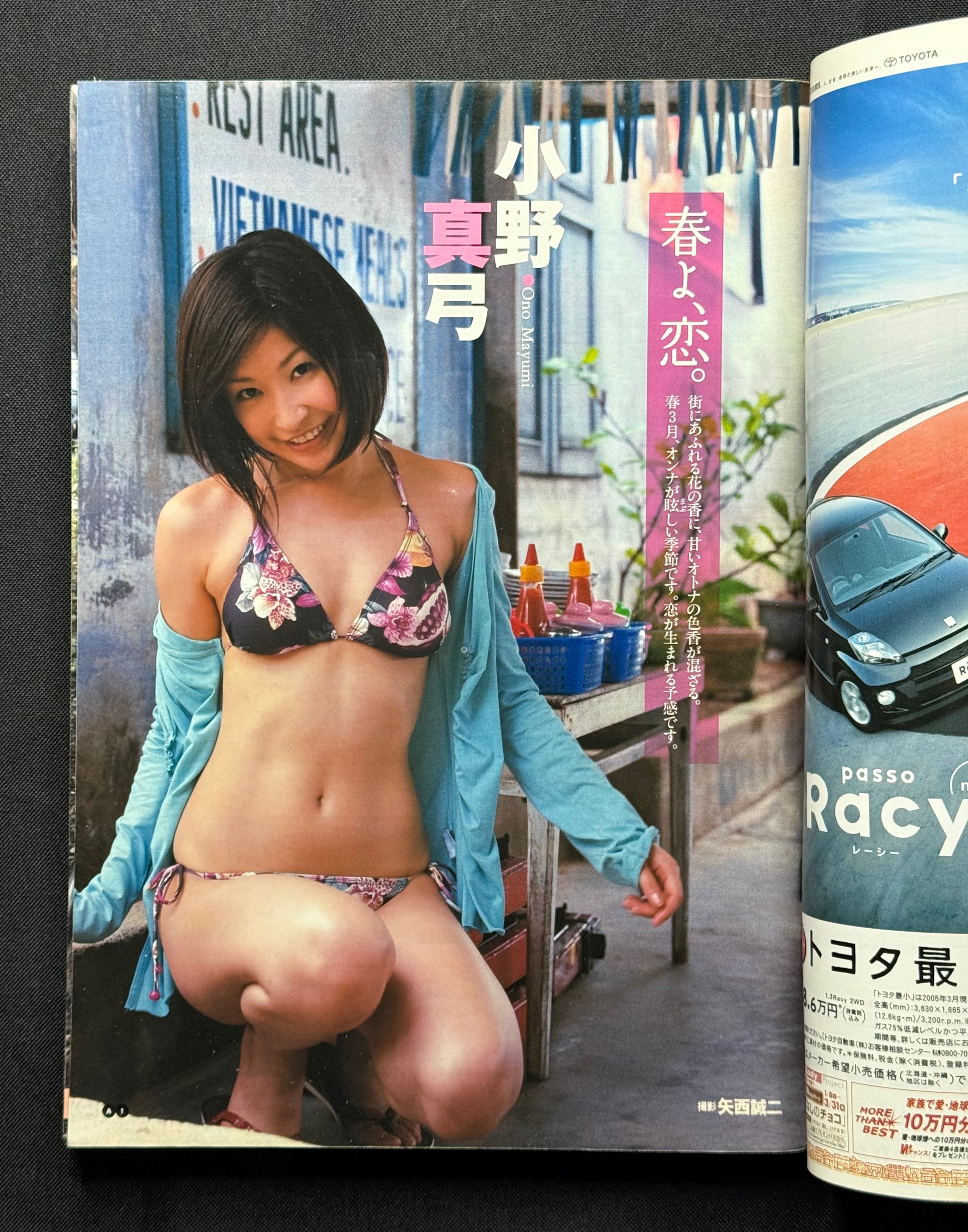 Weekly Playboy No. 13 (March 29, 2005) Japanese Magazine - Mayumi Ono Cover