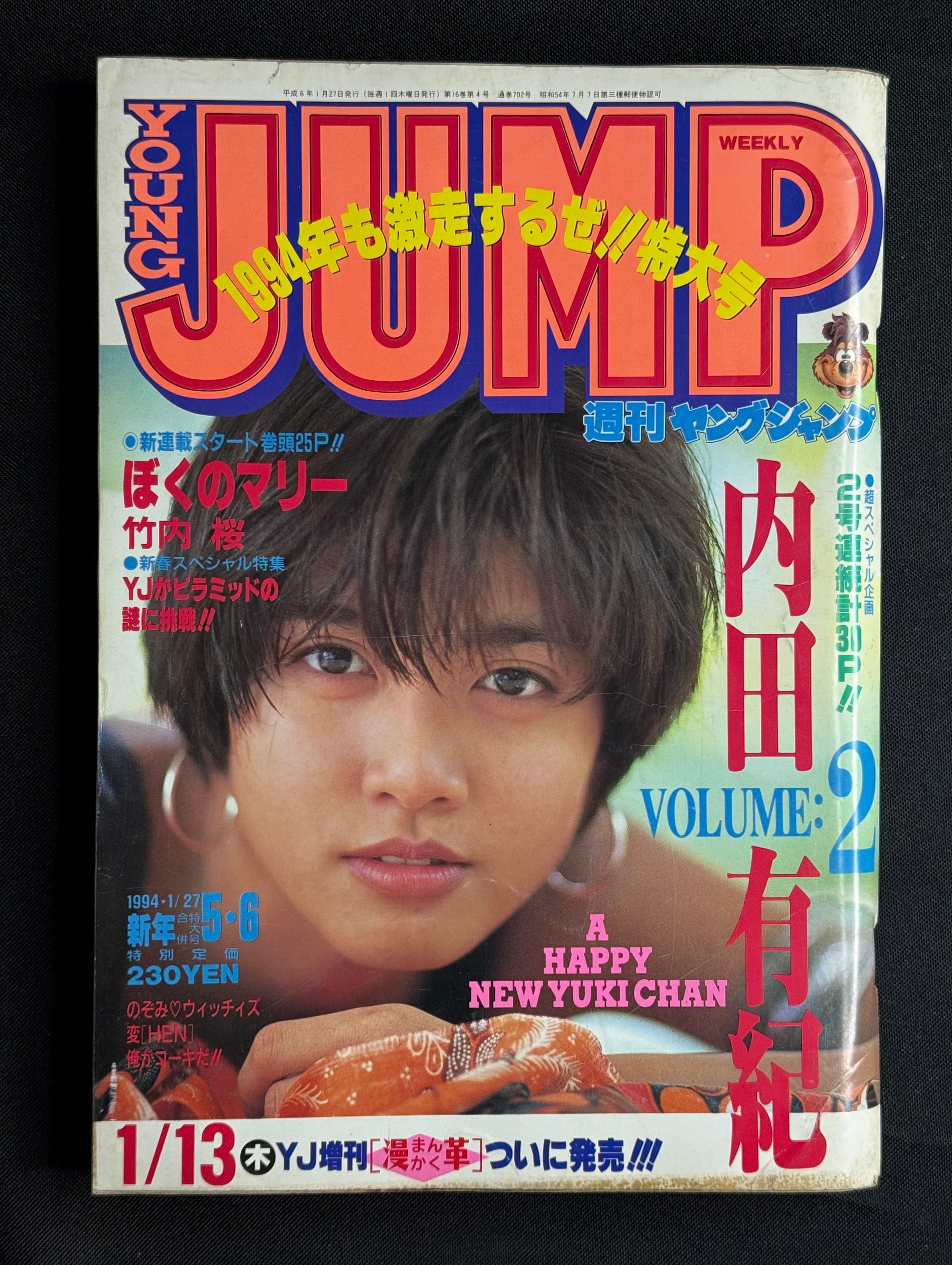 Weekly Young Jump No. 5/6 (January 27, 1994) Japanese Manga – Yuki Uchida Cover