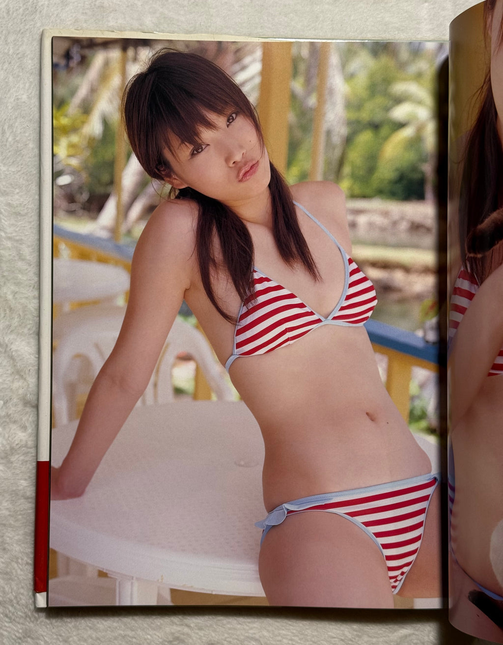 Saki Akai “Lip Hip Shake” Hardcover Photobook (2006) w/obi - DDT TJPW Wrestling