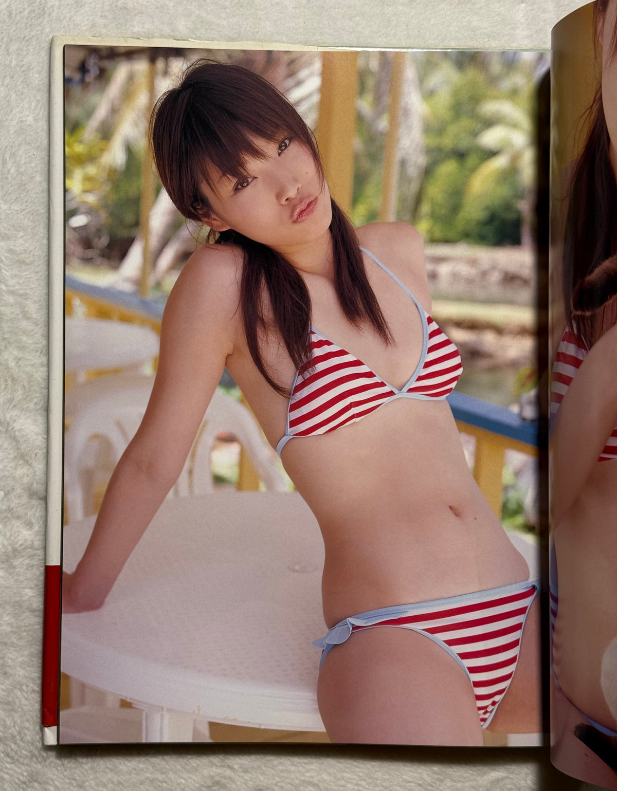 Saki Akai “Lip Hip Shake” Hardcover Photobook (2006) w/obi - DDT TJPW Wrestling