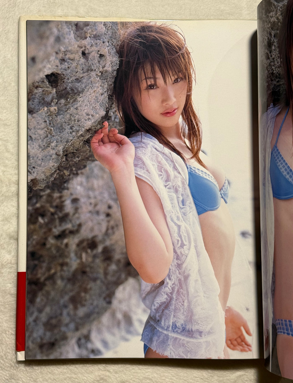 Saki Akai “Lip Hip Shake” Hardcover Photobook (2006) w/obi - DDT TJPW Wrestling