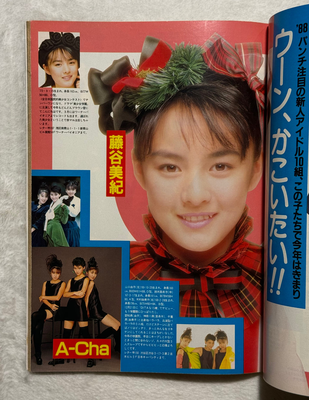 Heibon Punch Japanese Magazine No. 1192 (February 1988) Noriko Sakai Cover