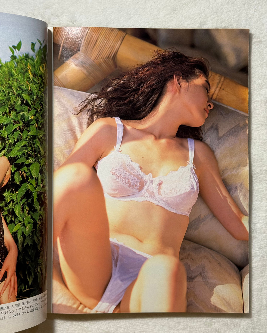 Schola Japanese Magazine No. 296 - January 1, 1994 (Kumiko Goto Cover)