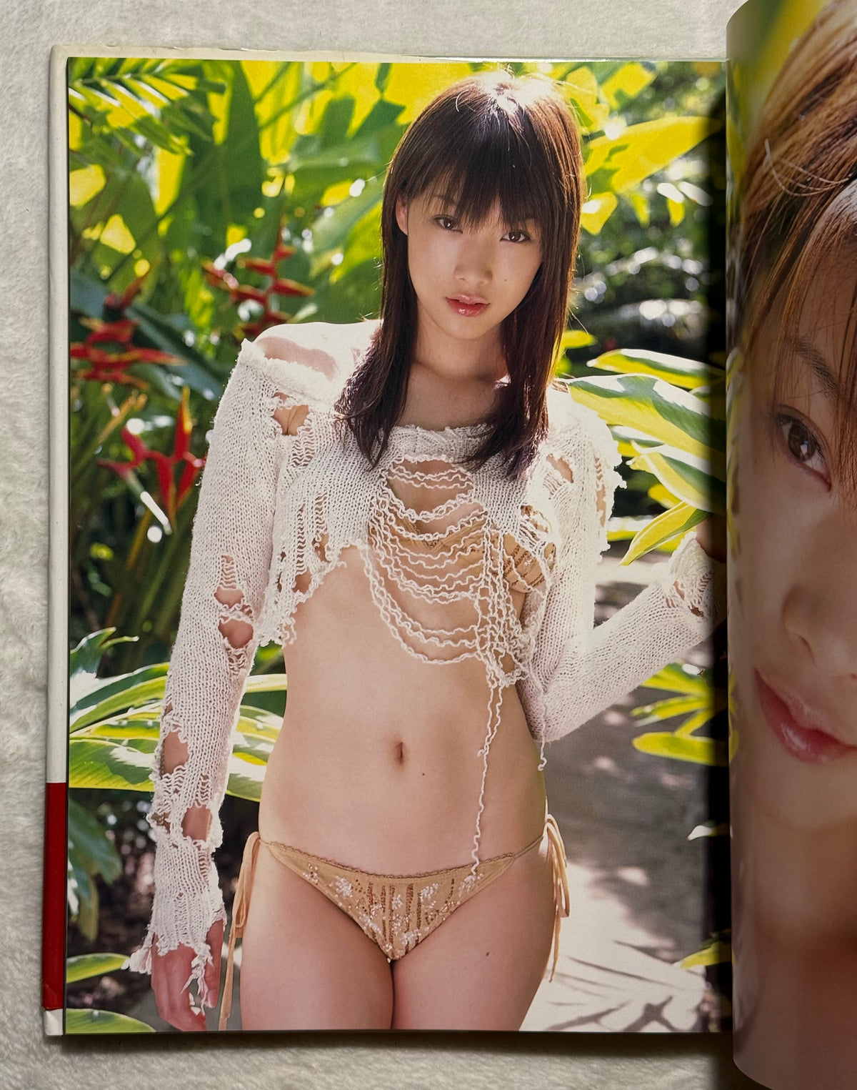 Saki Akai “Lip Hip Shake” Hardcover Photobook (2006) w/obi - DDT TJPW Wrestling