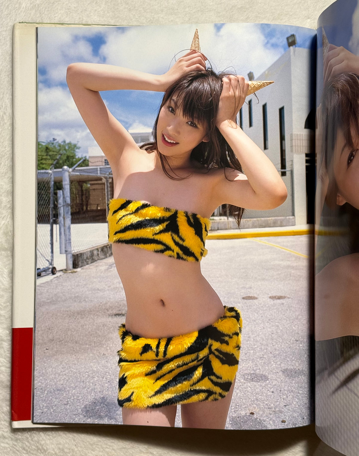 Saki Akai “Lip Hip Shake” Hardcover Photobook (2006) w/obi - DDT TJPW Wrestling