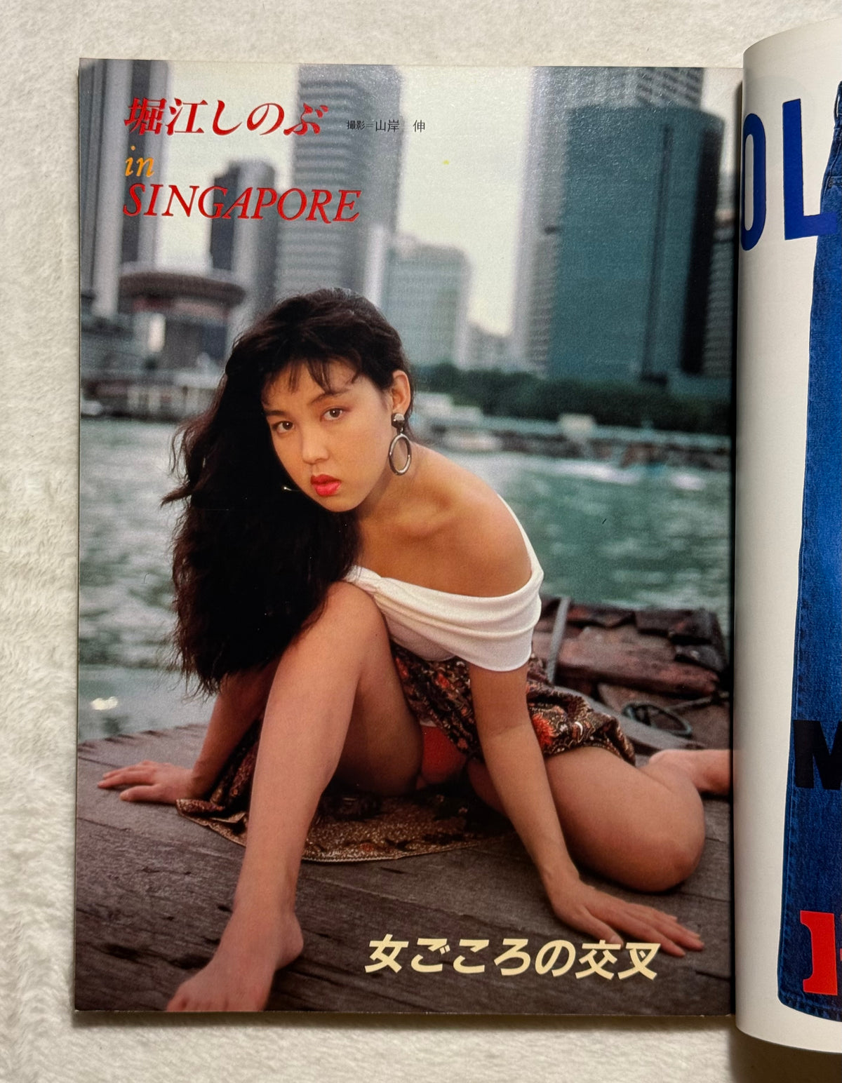 Heibon Punch Japanese Magazine No. 1192 (February 1988) Noriko Sakai Cover