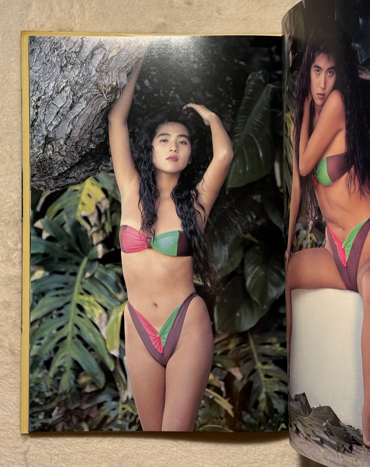 Naoko Iijima “Himitsu no Paradise” Japanese Gravure Photobook (1991)