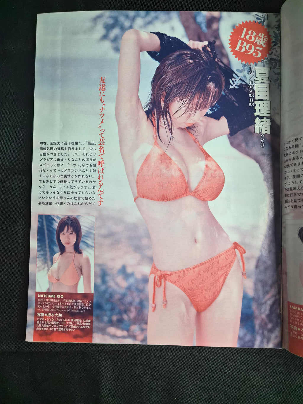 Flash Magazine June 24, 2003 Japan Import Gravure Yumiko Shaku Cover Idol