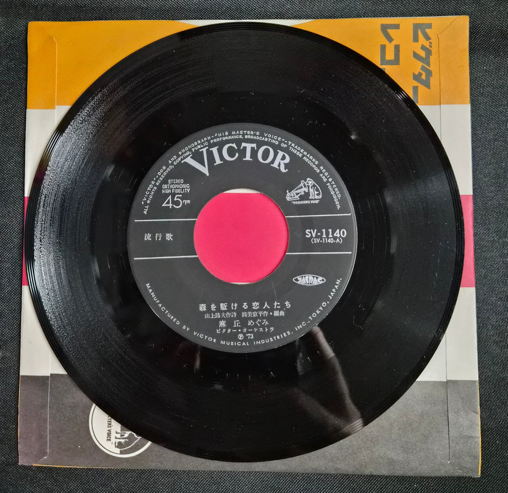 Megumi Asaoka – Mori O Kakeru Koibitotachi (森を駈ける恋人たち) 7" Vinyl Record (1973)