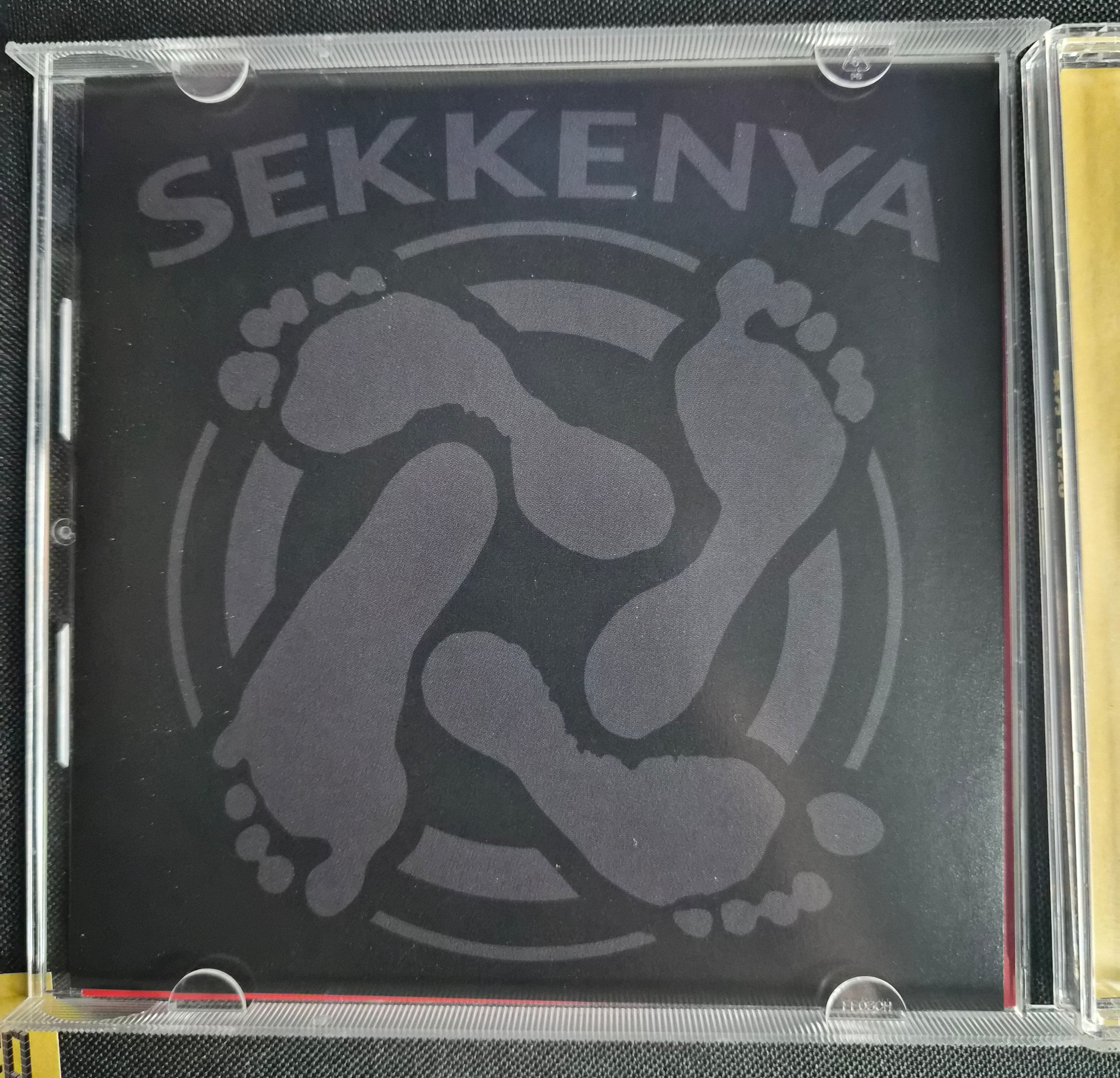 Touhou Lv.20 – Sekkenya – Touhou Project Doujin Music CD – Utsuho Reiuji Cover – Hard Rock & Punk Arrangements – Japan Import
