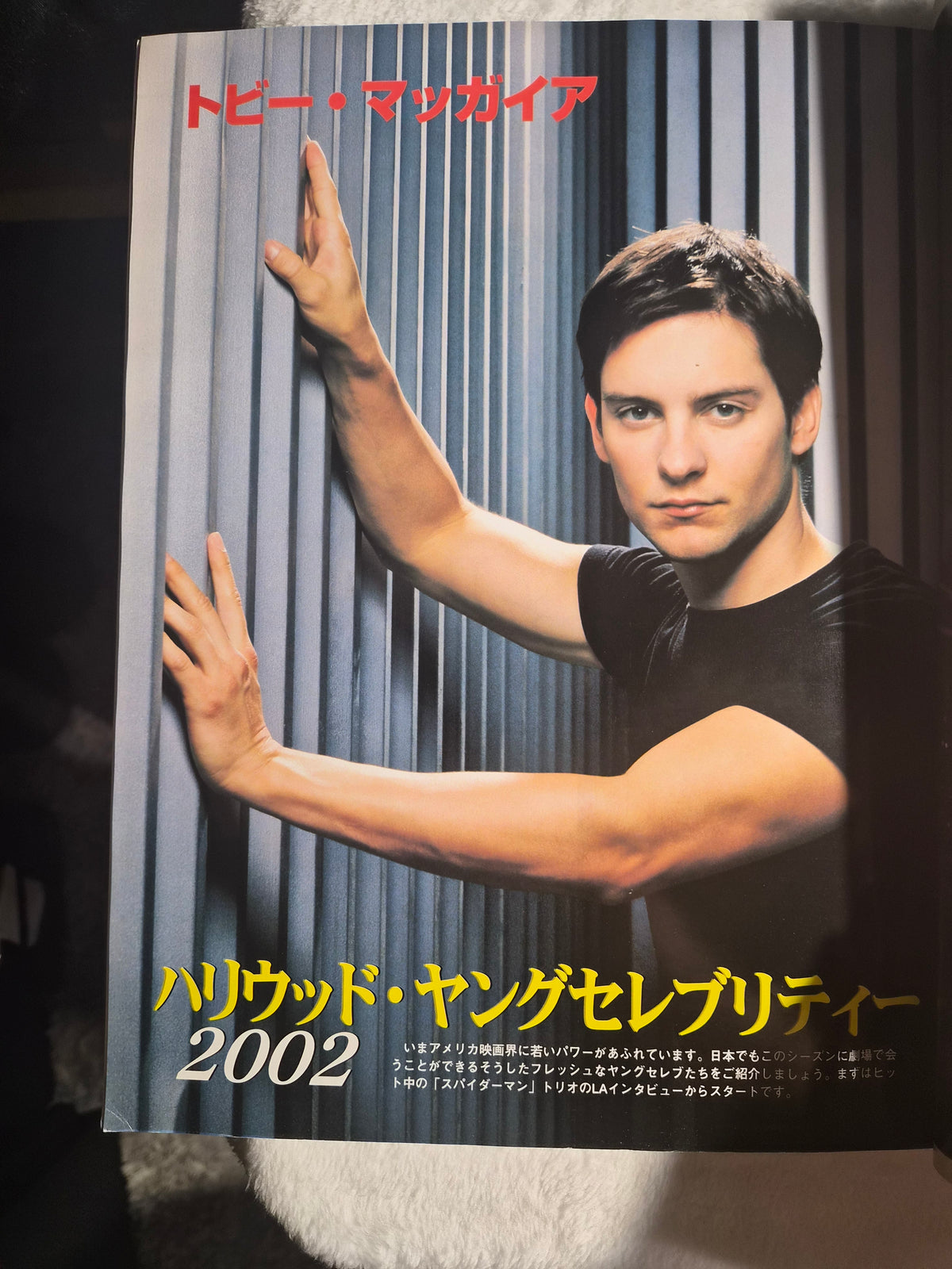 SCREEN Magazine July 2002 Japan Import – Liv Tyler Cover – Star Wars Character Guide – Josh Hartnett Poster – Harry Potter Insert – Vintage Japanese Movie Magazine
