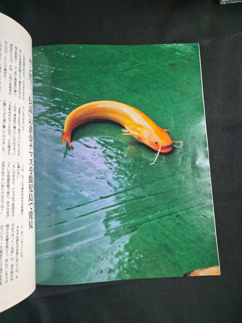 Friday Japan Entertainment Magazine 7/26/91 Julia Roberts Baseball Gravure Import